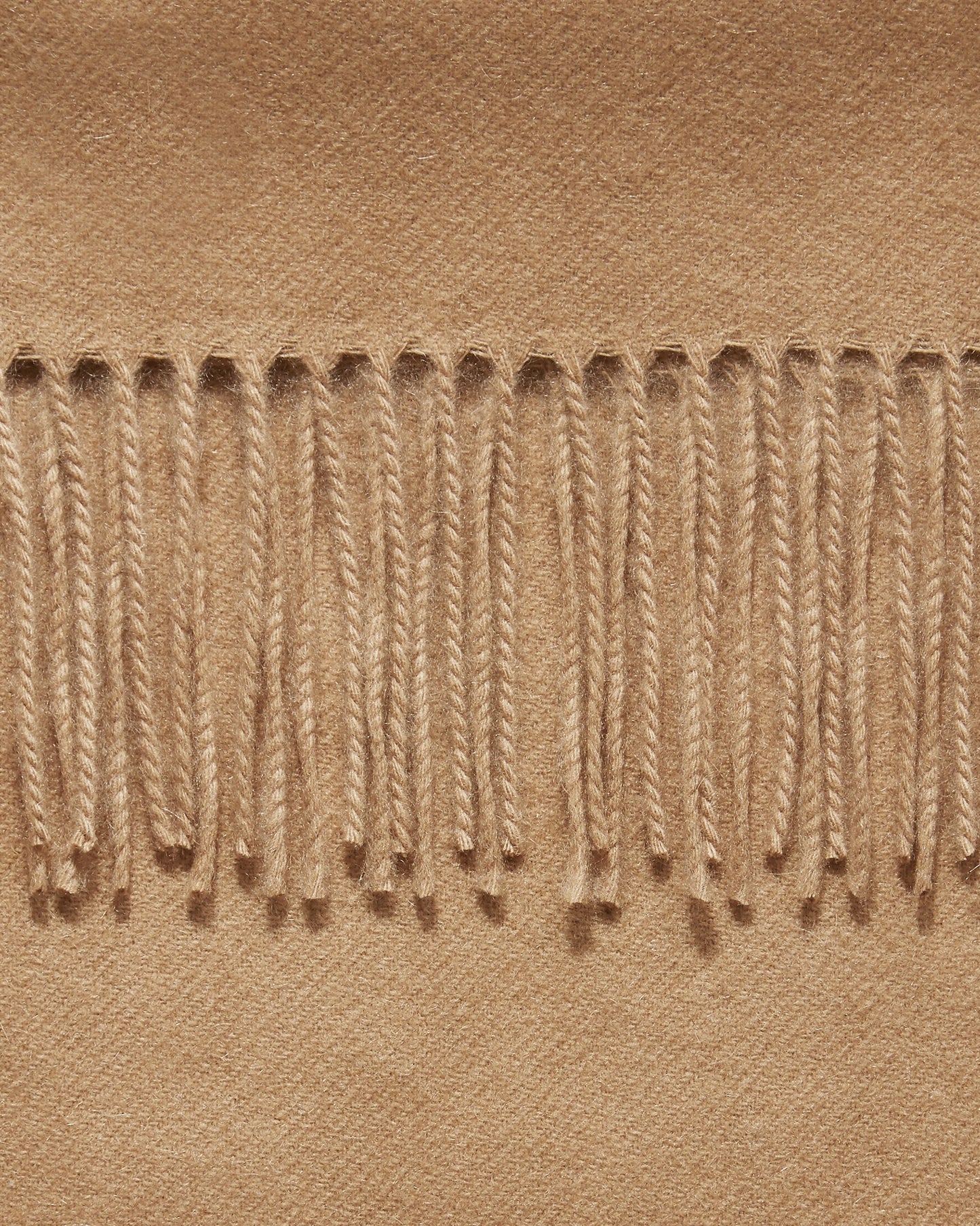 Cashmere Scarf : Light Camel