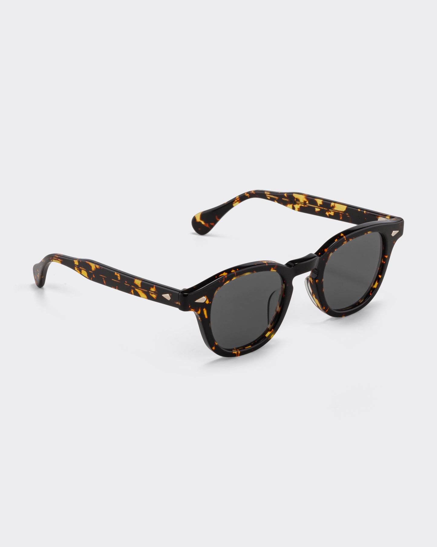 AR : Black Tortoise