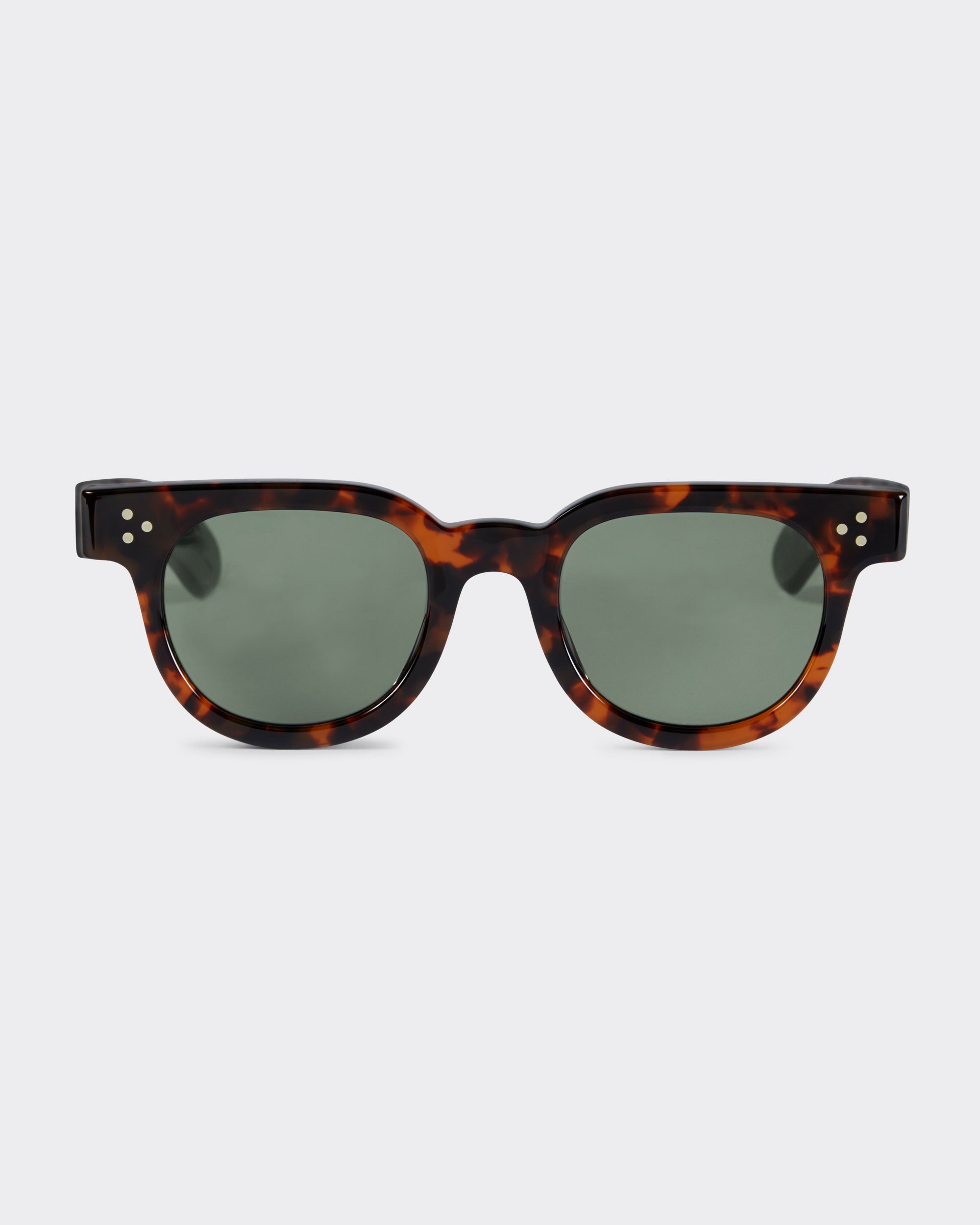 Julius Tart Optical : FDR : Tortoise – Beige Habilleur