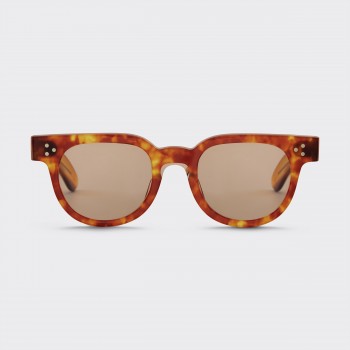 FDR : Light Tortoise 