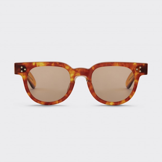 FDR : Light Tortoise 