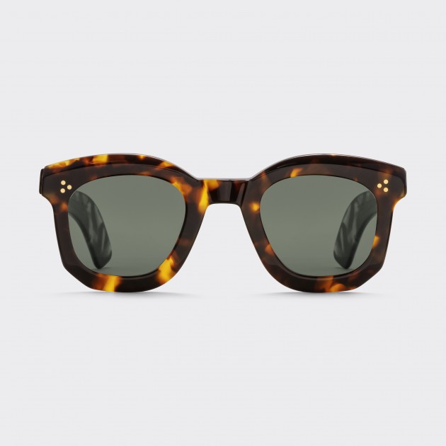 Max sales pittion sunglasses