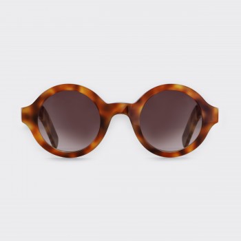 Achard : Tortoise