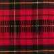 Cashmere Tartan Scarf : Wallace