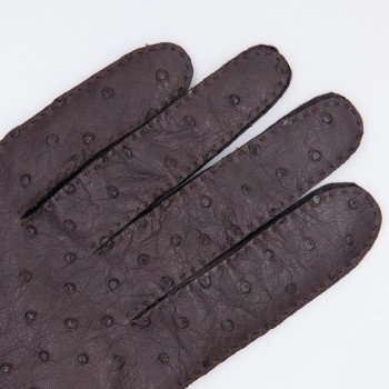 Gants Autruche et Agneau : Marron/ Marron Foncé