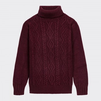 Pull Aran Mérinos Col Roulé : Bordeaux