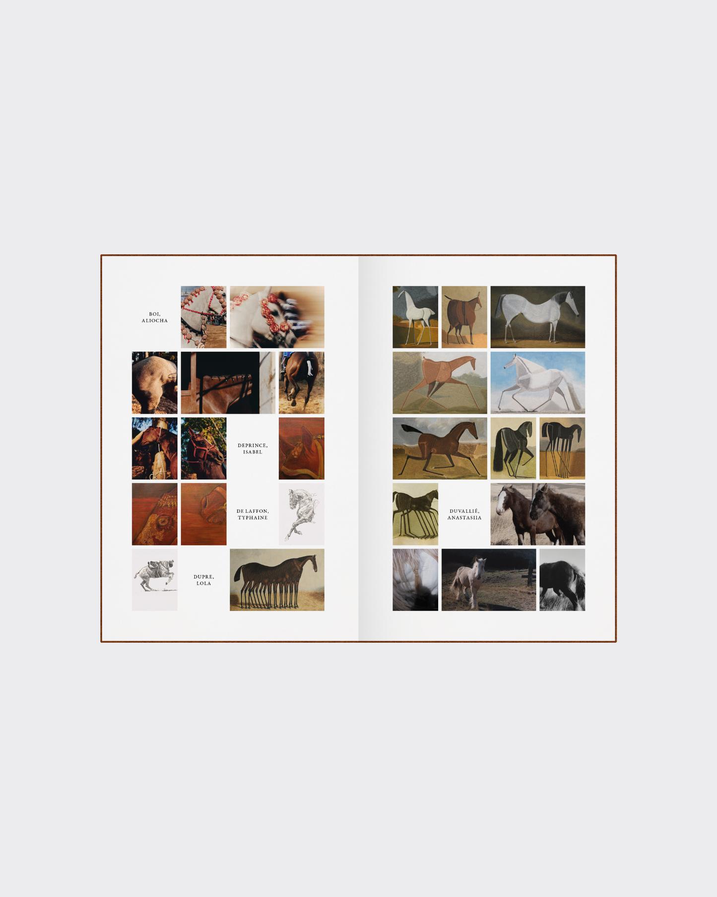 Horse anatomy illustration collectible art book