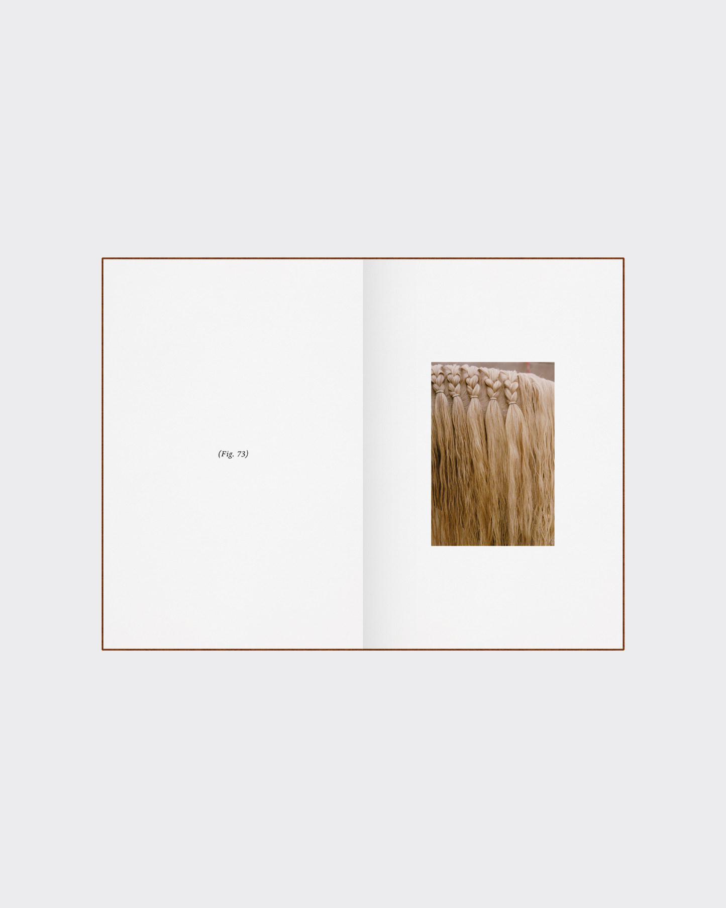 Horse anatomy illustration collectible art book