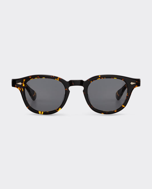 AR : Black Tortoise