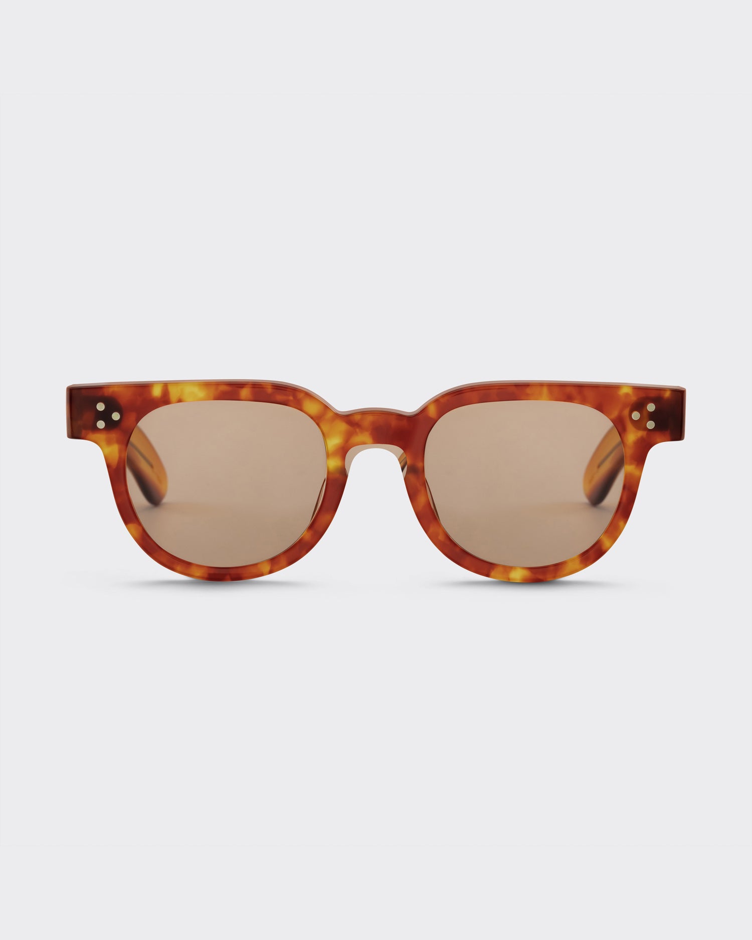 JULIUS TART FDR : Light Tortoise