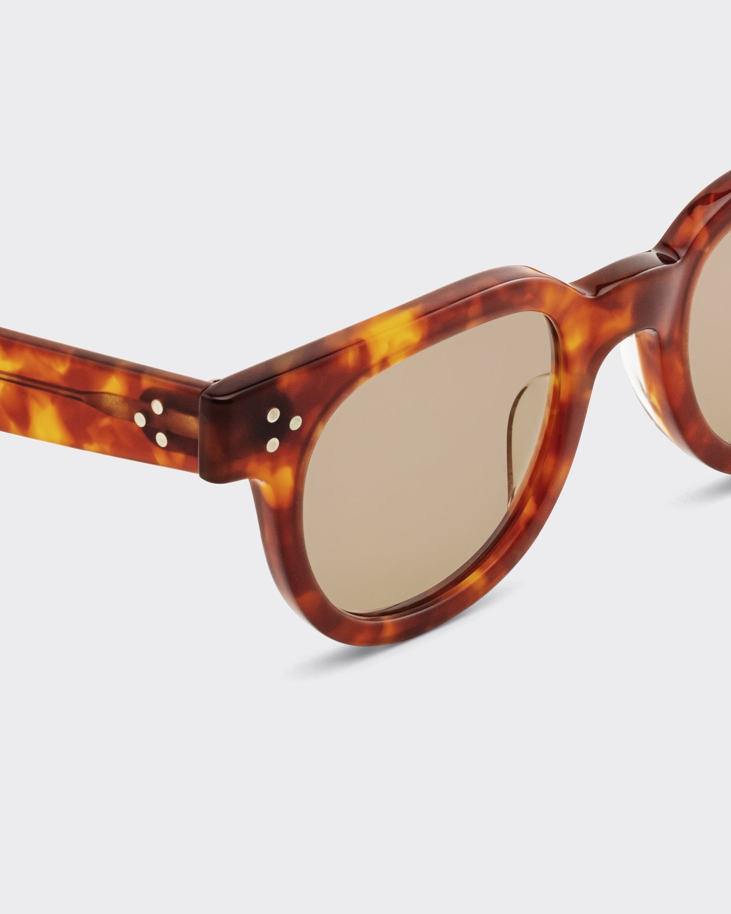JULIUS TART FDR : Light Tortoise