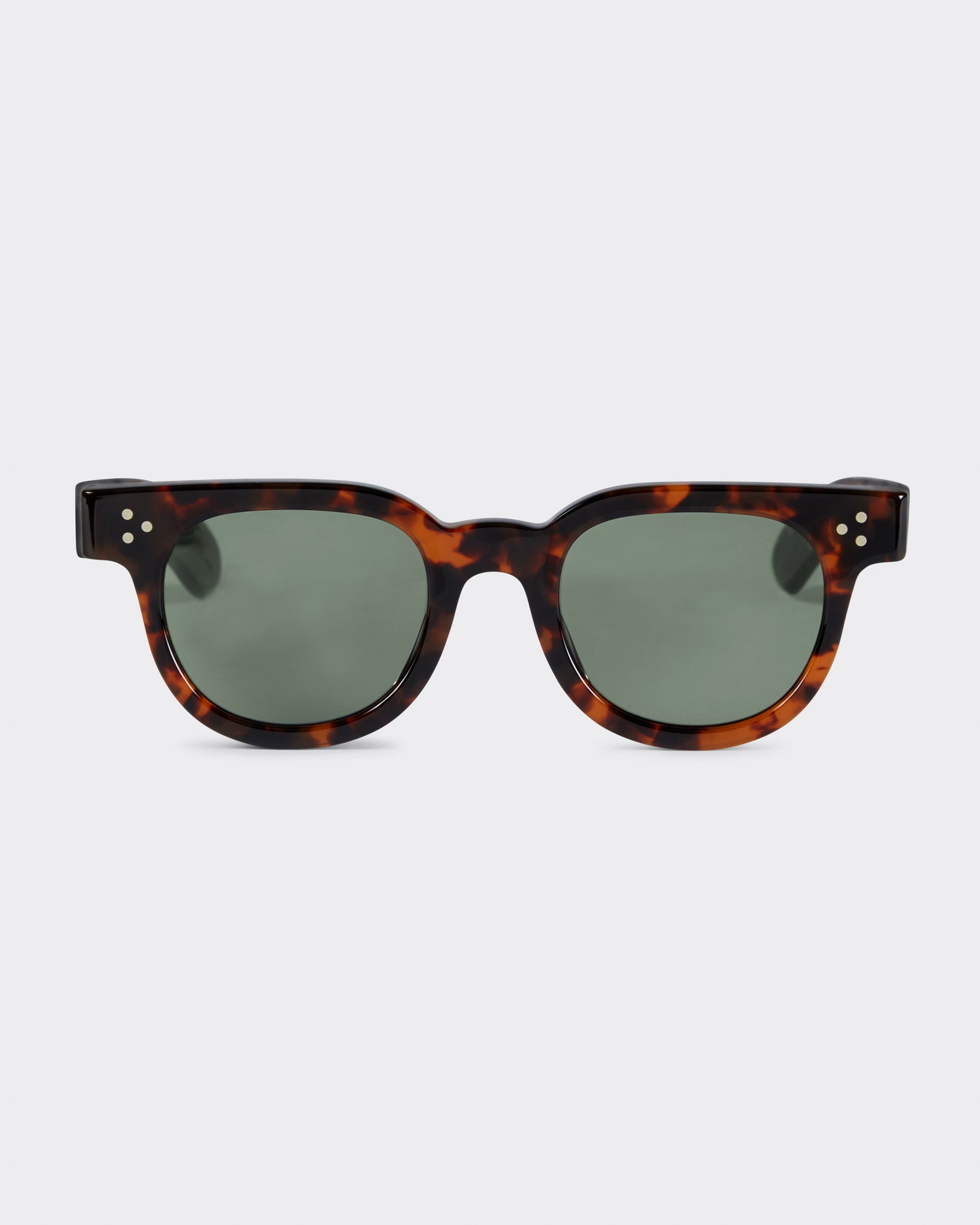 JULIUS TART FDR TORTOISE