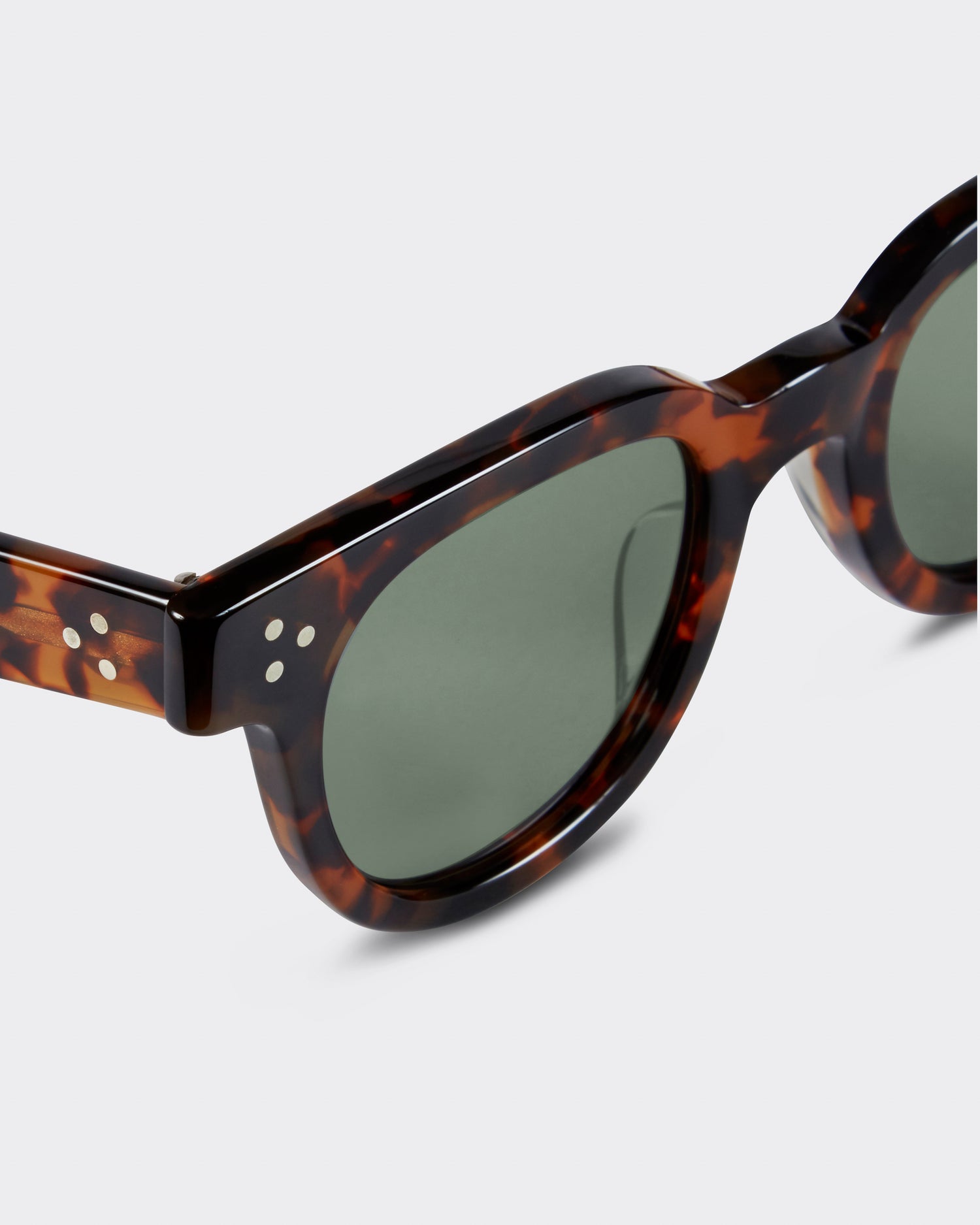 JULIUS TART FDR TORTOISE