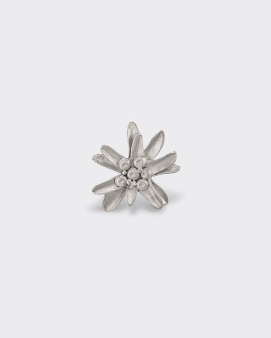 Pin's Edelweiss : Argent 925